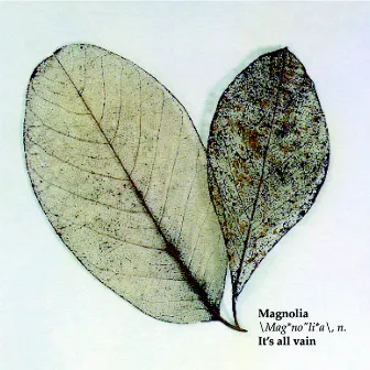 It’s All Vain by Magnolia