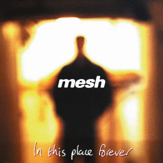 In This Place Forever by Mesh