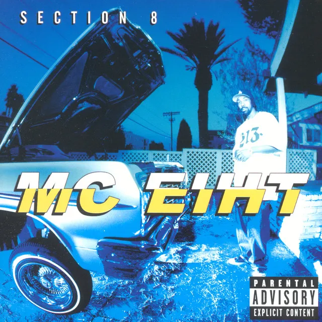 Section 8 (Explicit)