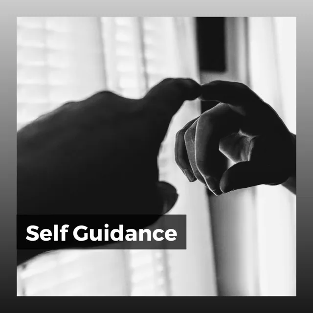 Self Guidance