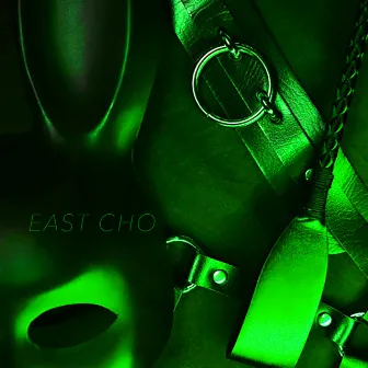 Leather & Lasers by East Cho