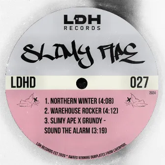 Northern Winter EP by Slimy Ape