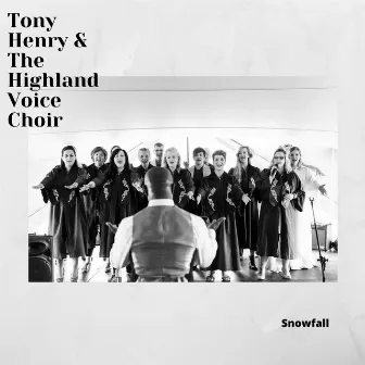 Snowfall by Tony Henry