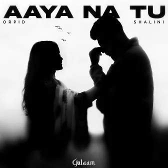 Aaya Na Tu by Orpid