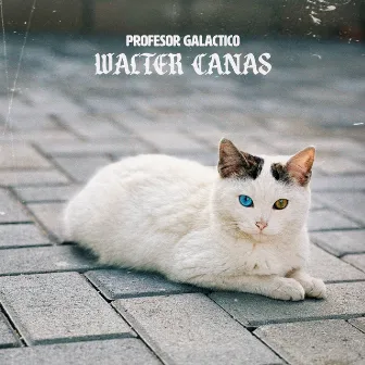 Walter Canas by Profesor Galactico