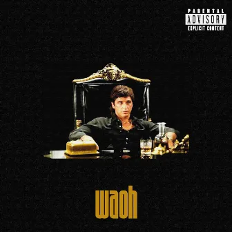 waoh by Goia