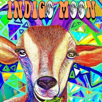 Indigo Moon by Colleen Yost