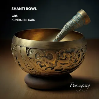 Peacegong by Shanti Bowl