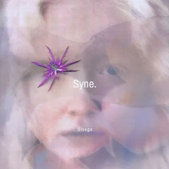 Syne by Sinego