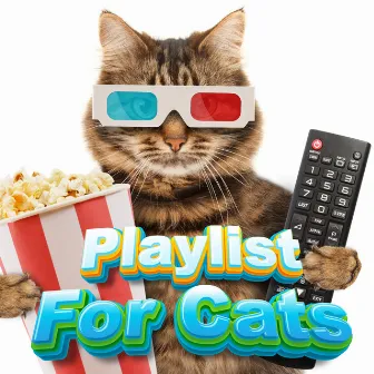 Cat Music For Sleep by Playlist For Kittens