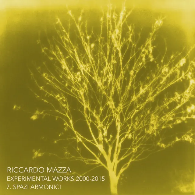 Experimental Works 2000-2015: Spazi Armonici (Disk 7)