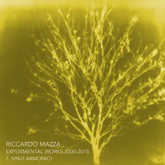 Experimental Works 2000-2015: Spazi Armonici (Disk 7) by Riccardo Mazza