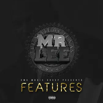 Features by Mr Lee