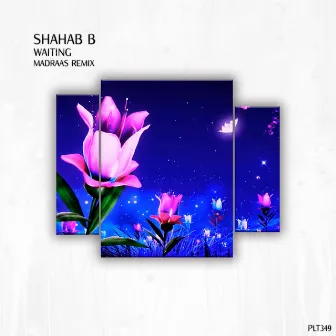 Waiting (Madraas Remix) by Shahab B