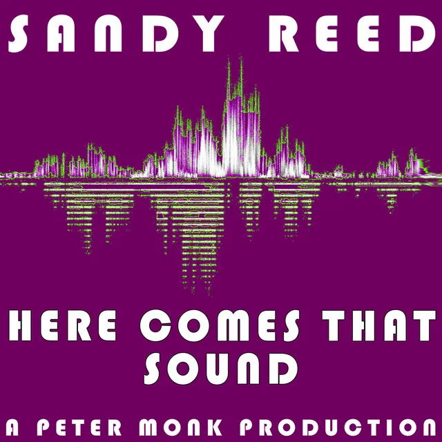 Here Comes That Sound - Peter Monk Radio Edit