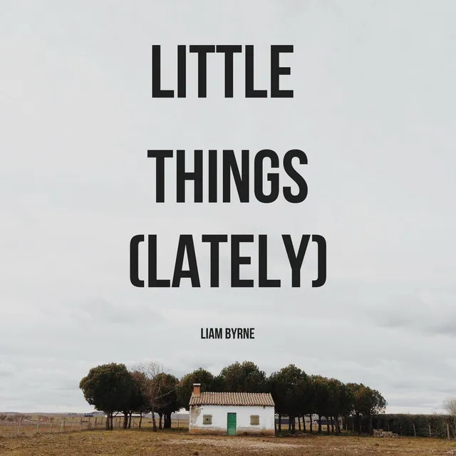 little things (lately)