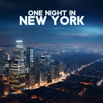 One Night in New York by 