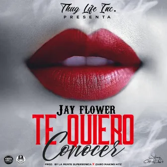 Te Quiero Conocer by Jay Flower