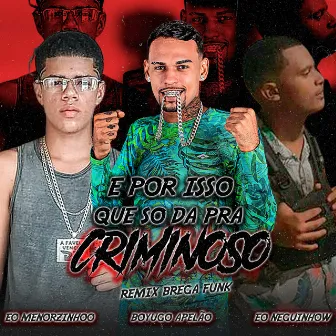 E por Isso Que So da pra Criminoso (Remix) by Boyugo Apelão