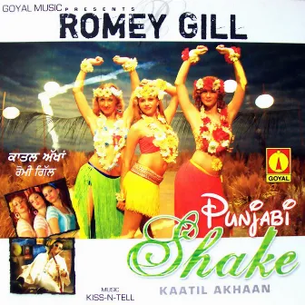 Punjabi Shake Kaatil Akhaan by Romey Gill