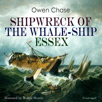 Shipwreck of the Whale-ship Essex by Walter Norris