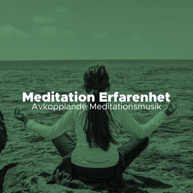 Meditation Erfarenhet - Avkopplande Meditationsmusik, Asiatiska Instrumentala Låtar