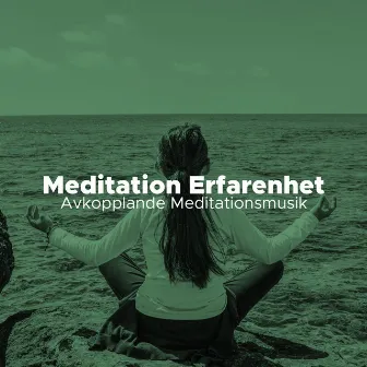 Meditation Erfarenhet - Avkopplande Meditationsmusik, Asiatiska Instrumentala Låtar by Amelia System