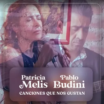 Canciones Que Nos Gustan by Pablo Budini