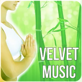 Velvet Music - Music for Yoga, Stress Relief and Yoga Exercises with Nature Sounds, Healing Music for Wellness by Pure Yoga & Meditation Music Ensemble