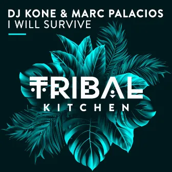 I Will Survive (Radio Edit) by Dj Kone & Marc Palacios