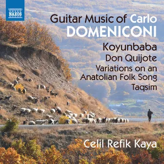 Domeniconi: Guitar Music by Carlo Domeniconi