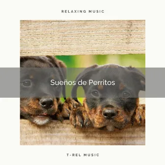 2021 Sueños de Perritos by Música Relajante para Perros