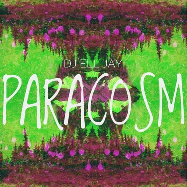 Paracosm