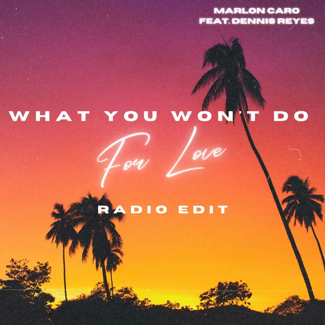 What You Won't Do For Love - Radio Edit