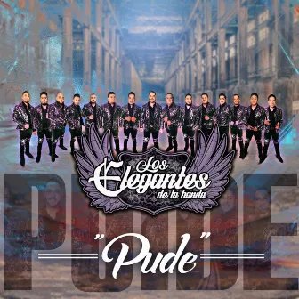 Pude by Los Elegantes de la Banda