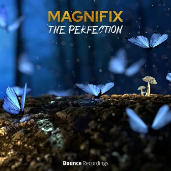 The Perfection by Magnifix