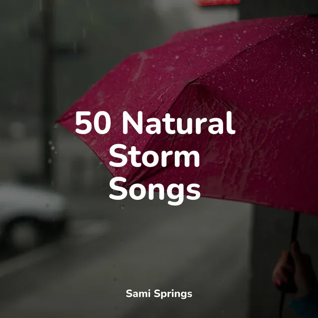 50 Natural Storm Songs