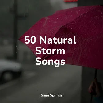 50 Natural Storm Songs by Sample Rain Library