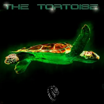 The Tortoise by Ferty