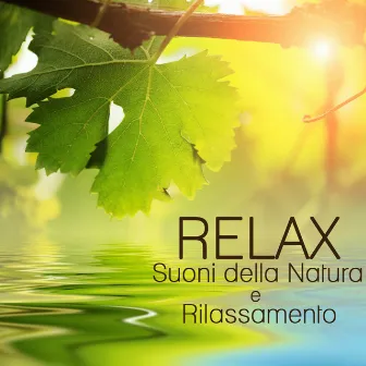 Relax, Suoni della Natura e Rilassamento by Unknown Artist