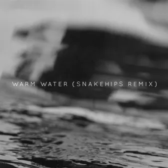 Warm Water (Snakehips Remix) by BANKS