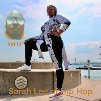 Schemes by Sarah Lee of Hip Hop