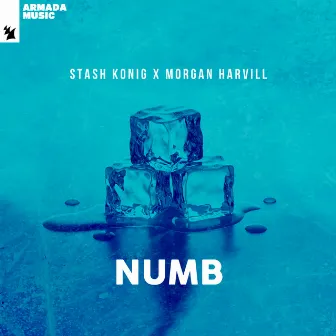 Numb by Morgan Harvill