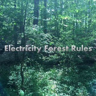 Electricity Forest Rules by Below Freezing