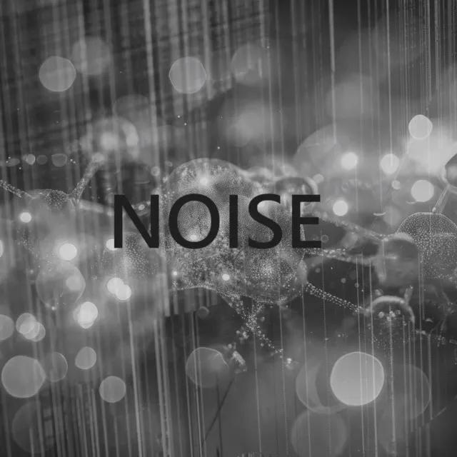 Noise