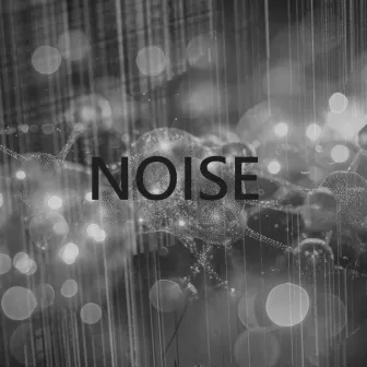 Noise by The Radical