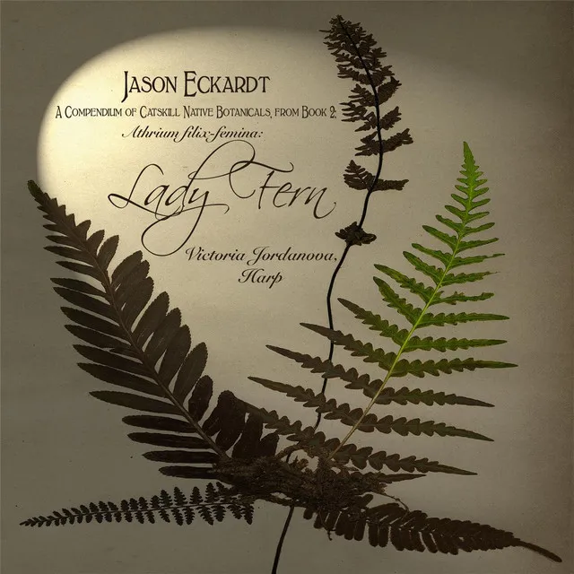 Jason Eckardt: A Compendium of Catskill Native Botanicals, From Book 2: Lady Fern for Harp