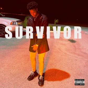 Survivor by Jaywall