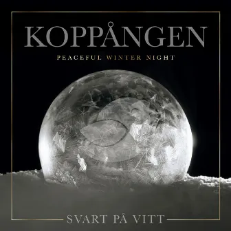 Koppången (Peaceful Winter Night) by Svart på Vitt