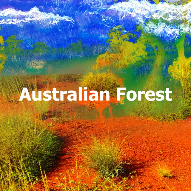 Australian Forest